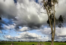 虎扑体育官网:不会有大挪移了?红牛顾问马尔科:角田将在大红牛待到赛季结束.